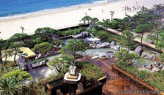 Rio Roiss Hotel Rio de Janeiro Ngoại thất bức ảnh